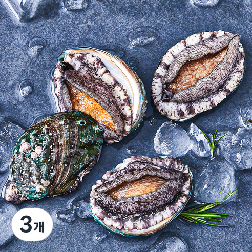 아라보감 완도 산지직송 전복 (냉장), 300g 내외(대, 4마리), 3개