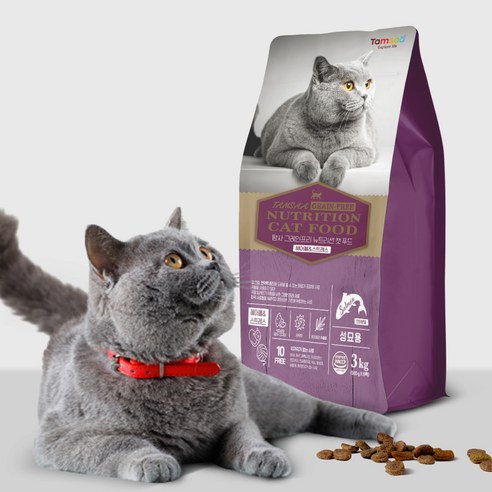 사랑스러운 고양이를 위한 최적의 사료