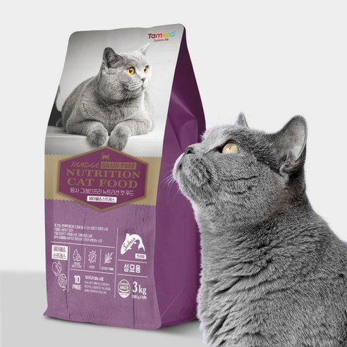 사랑스러운 고양이를 위한 최적의 사료