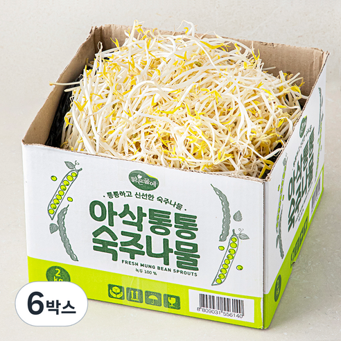 맑은물에 아삭통통 숙주나물, 6박스, 2kg