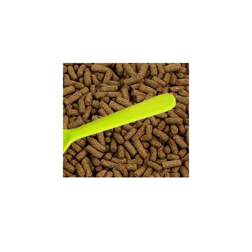 우리집 거북이, 소화 걱정 없이 건강하게 쑥쑥!