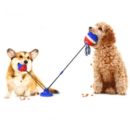 드방스 강아지 터그 놀이 장난감 빨판 + 볼 2p, 파랑, 1세트