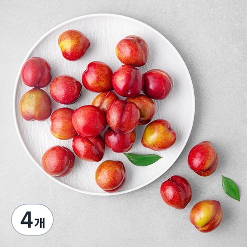 가족 의성 당도선별 대석자두, 1.2kg (특대), 4개