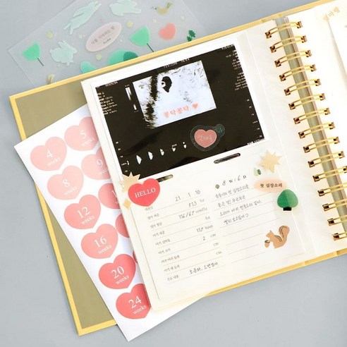 코니테일 임신 다이어리로 잊지 못할 10개월, 특별한 추억을 기록하세요!