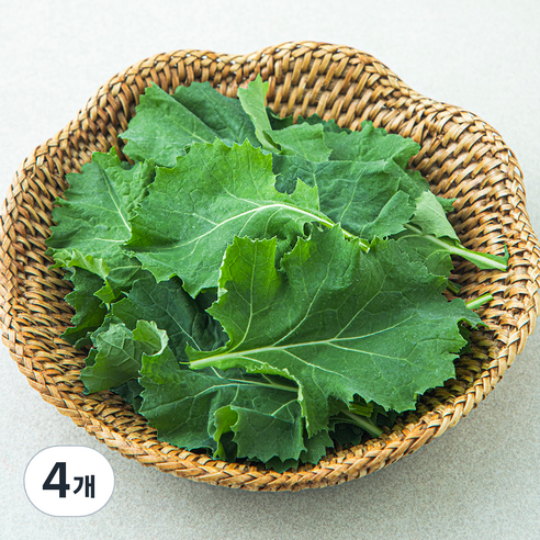 국내산 친환경 베이비케일, 50g, 4개