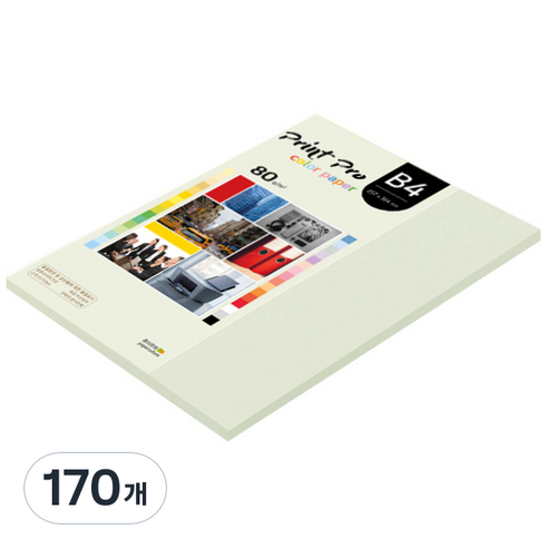 종이문화 프린트 프로 칼라 복사용지 No 18 라이트그레이 80g, B4, 170개