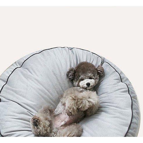 데코원 극세사 방석으로 사랑하는 반려견에게 꿀잠을 선물하세요!