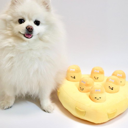 강아지의 놀이 시간을 특별하게 만들어 줄 장난감