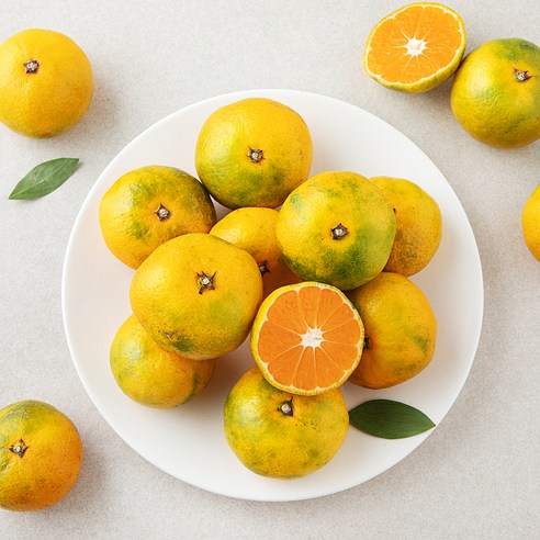 달콤한 당도선별 제주감귤, 온 가족이 행복해지는 맛!