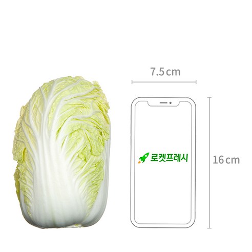 싱그러운 밥상을 위한 선택, 국내산 알배기 배추