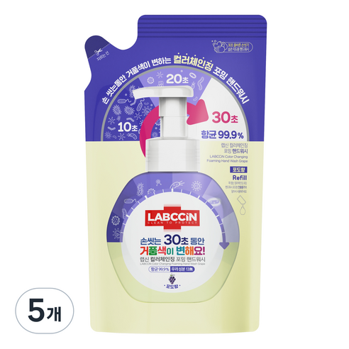 랩신 컬러체인징 핸드워시 포도향, 450ml, 5개