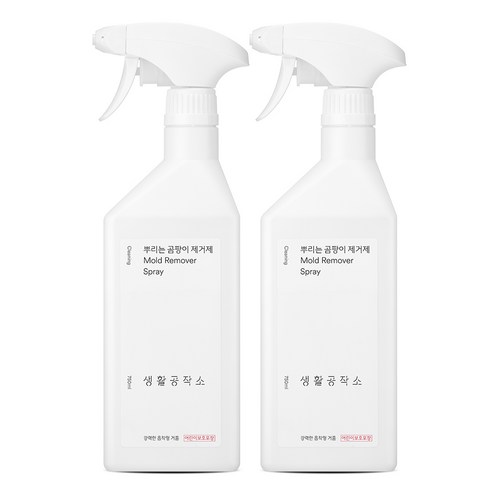 생활공작소 뿌리는 곰팡이 제거제, 750ml, 2개