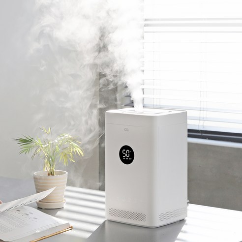 촉촉한 겨울, 오아 도트와 함께