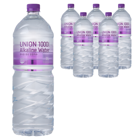 삼다수2l 유니온 천년 알칼리수, 2L, 6개 Best 5 삼다수2l 유니온 천년 알칼리수, 2L, 6개 Best 5