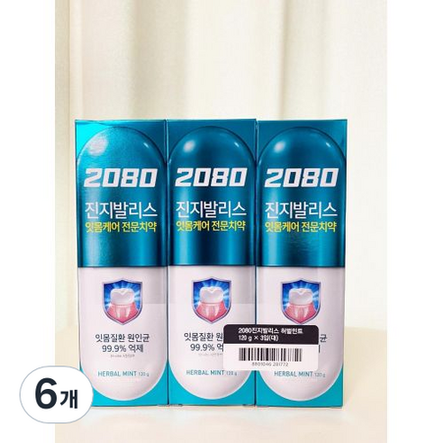 2080 진지발리스 치약 허벌민트향, 120g, 6개