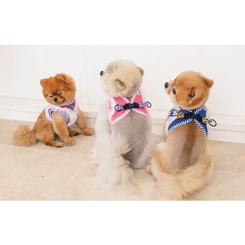 伴侶 寵物用品 小狗用品 背帶 寵物狗 狗狗 狗狗 小狗 小狗 寵物狗