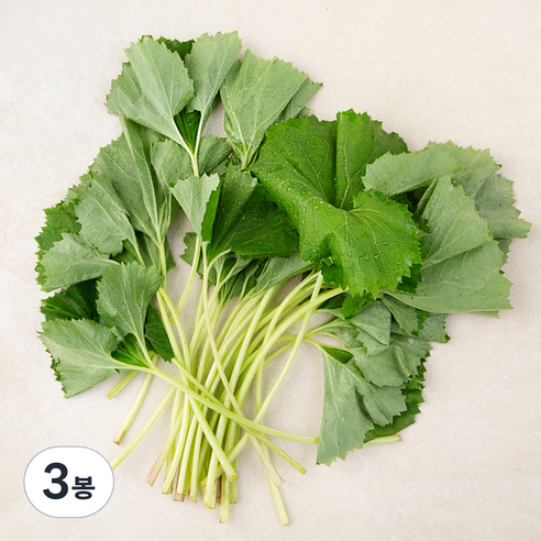 남해 머위, 150g, 3봉
