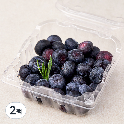 곰곰 친환경 블루베리, 100g, 2팩