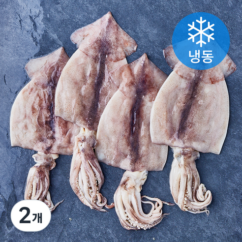 손질 김씨밥 오징어 대 (냉동), 2개, 900g