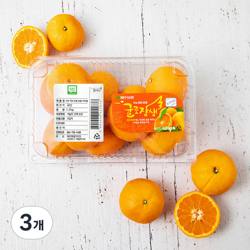 귤로장생 GAP 인증 당도선별 카라향, 1.2kg, 3개