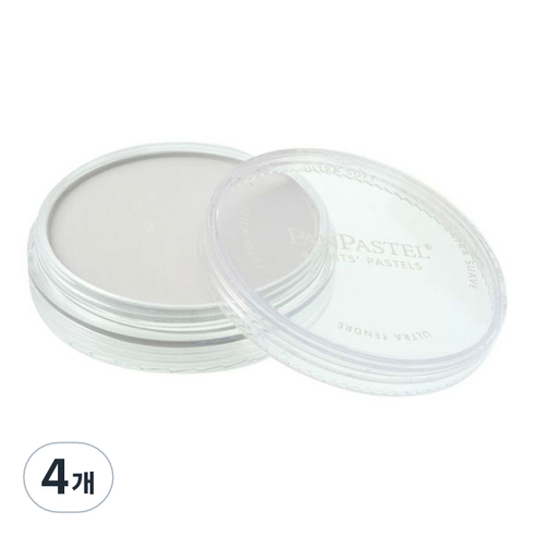 팬파스텔 신한화구 파스텔 PAYNES GREY TINT 840.8 9ml, 4개, 1색