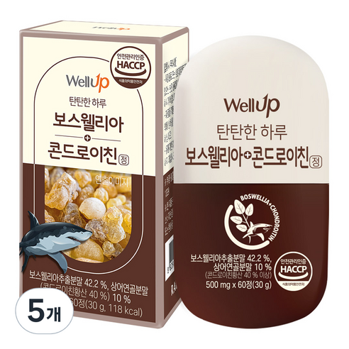 웰업 보스웰리아 상어연골 콘드로이친정, 60정, 5개
