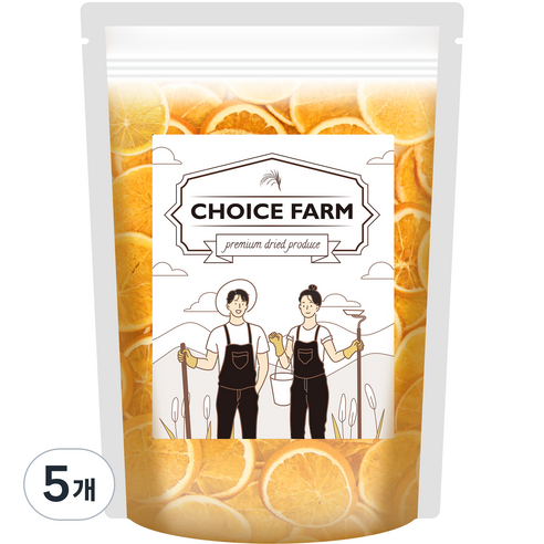 초이스팜 건오렌지 슬라이스 상급, 100g, 5개