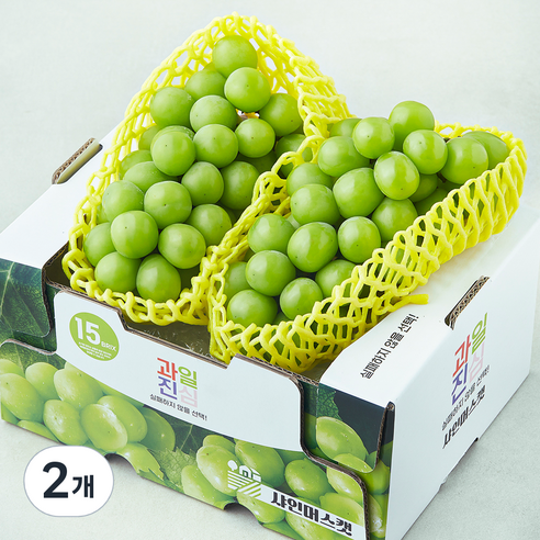 과일진심 샤인머스캣 청포도, 2개, 1.2kg