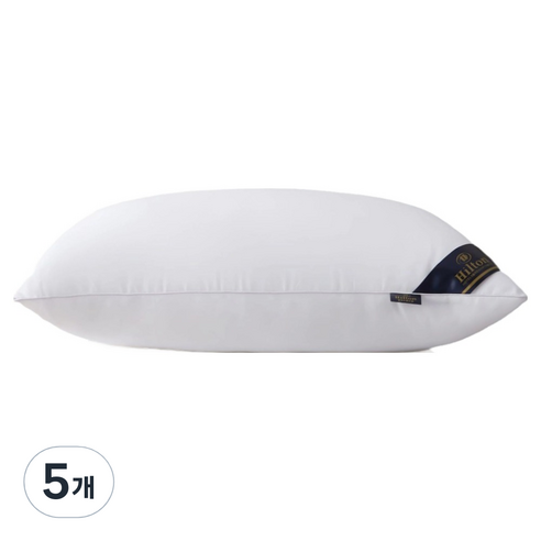 비투윈 편안한 베개솜 600g, 화이트, 5개
