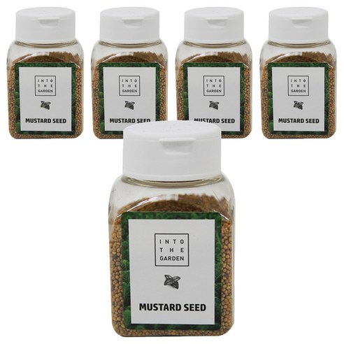 딜리셔스마켓 겨자씨, 80g, 5개