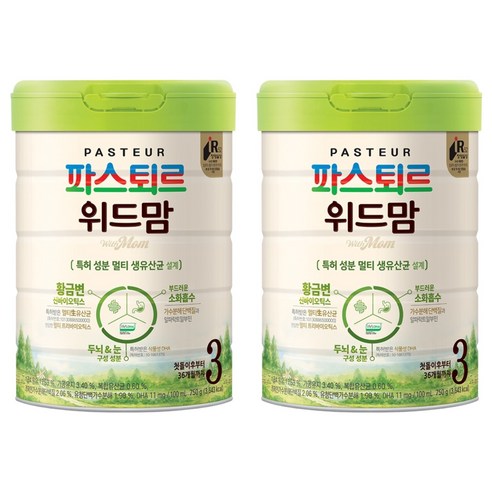 파스퇴르 위드맘 3단계, 750g, 2개