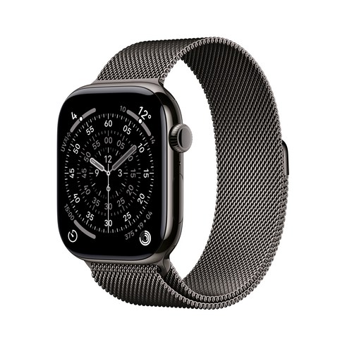 Apple 2025 애플워치 11, 슬레이트, 46mm, GPS+Cellular, 티타늄,슬레이트/슬레이트 밀레니즈 루프, S/M