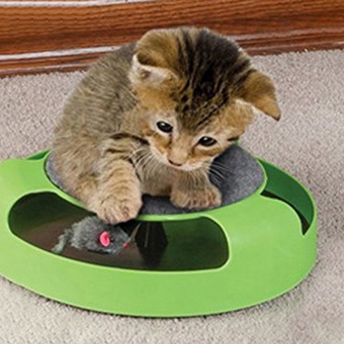 블럭마트 빙글빙글 고양이 토이 쥐잡기 장난감, 혼합 색상, 1개
