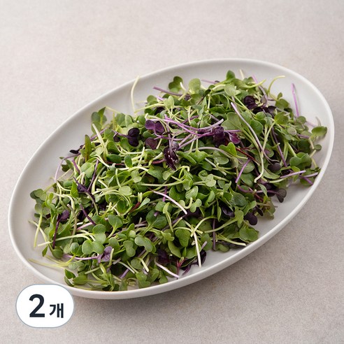 국내산 친환경 어린잎 채소, 200g, 2개