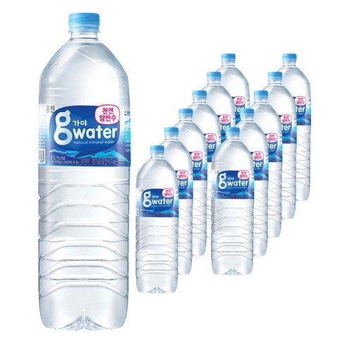 가야G워터 생수, 2L, 12개