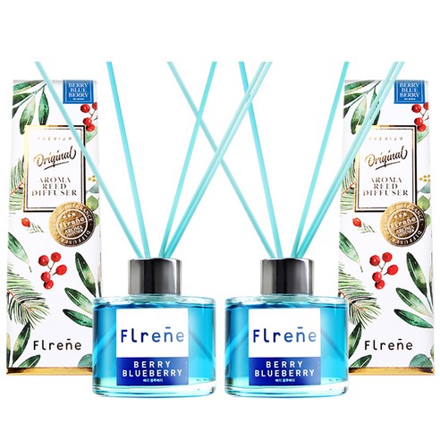 플렌느 오리지널 실내용 디퓨저 120ml x 2p, 베리블루베리