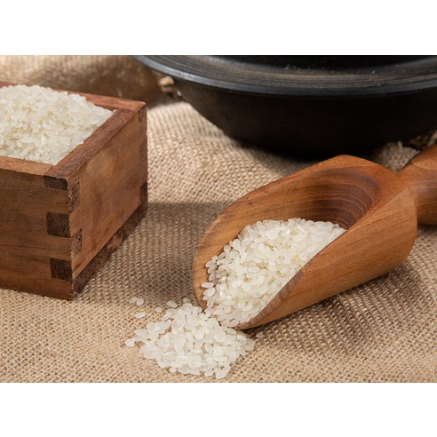 곰곰의 풍요로운 우리쌀: 2023년 햅쌀의 탁월한 맛과 가치