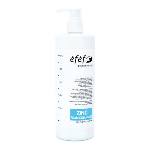 에프에프 징크 폼클렌징, 500ml, 1개