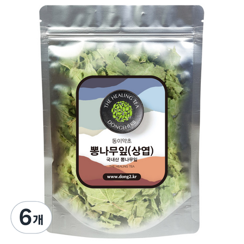 동이약초 뽕나무 잎 상엽, 150g, 6개