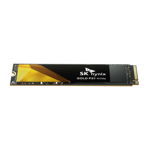 SK하이닉스 GOLD P31 NVMe SSD, HFS500GDE9X0733, 500GB