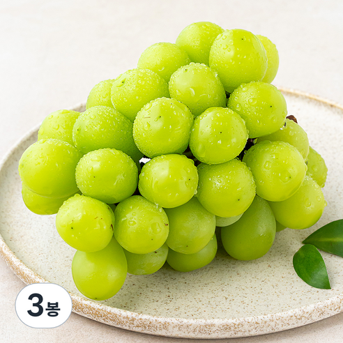 곰곰 고당도 김천 샤인머스캣, 500g, 3봉