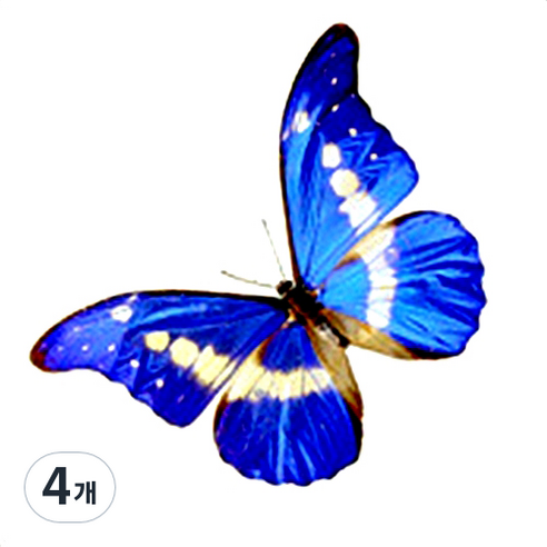파티복닷컴 나비 웬디 타투 스티커, AC52, 4개