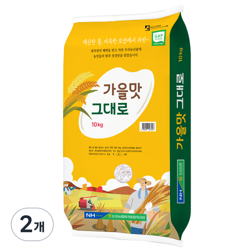 가을맛 그대로 상등급, 10kg, 2개