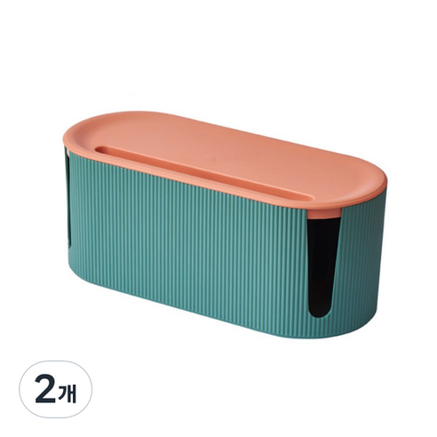 스타 컬러 데이 케이블 정리 박스 01 블루, 2개