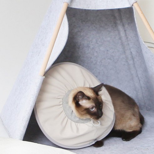 애완동물의 털을 효율적이고 편안하게 관리하세요!