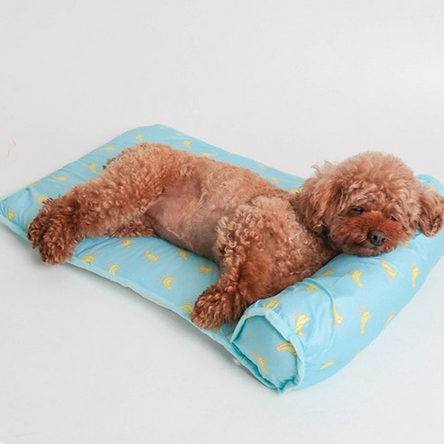 댕냥이 꿀잠 보장, 딩동펫 썬베드 쿨방석