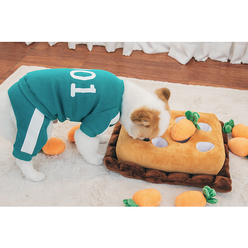 伴侶  寵物用品  小狗  用品  玩具  狗  狗  狗  狗  小狗