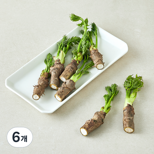 참두릅, 6개, 150g