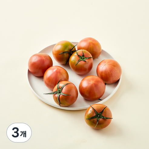 올푸릇 무농약 인증 대저짭짤이 토마토, 3개, 500g