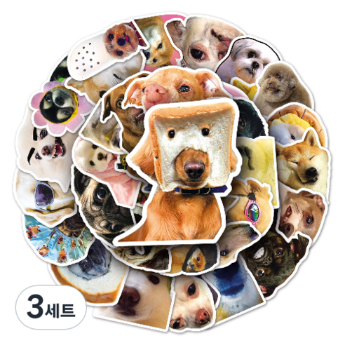 문곰상점 감성 다이어리 꾸미기 캐리어 스티커 50종 세트, 귀여운 강아지, 3세트